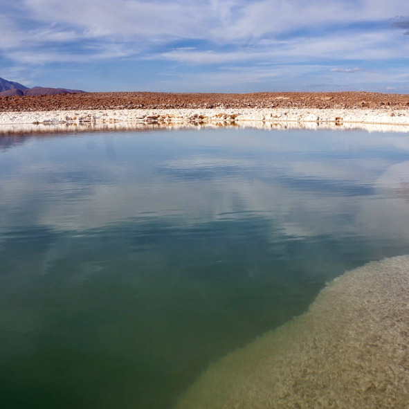Laguna Guerrero Negro